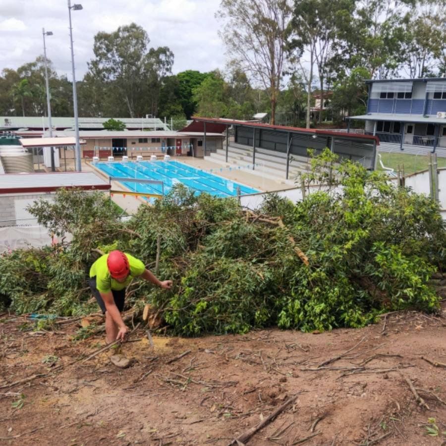 Land clearing